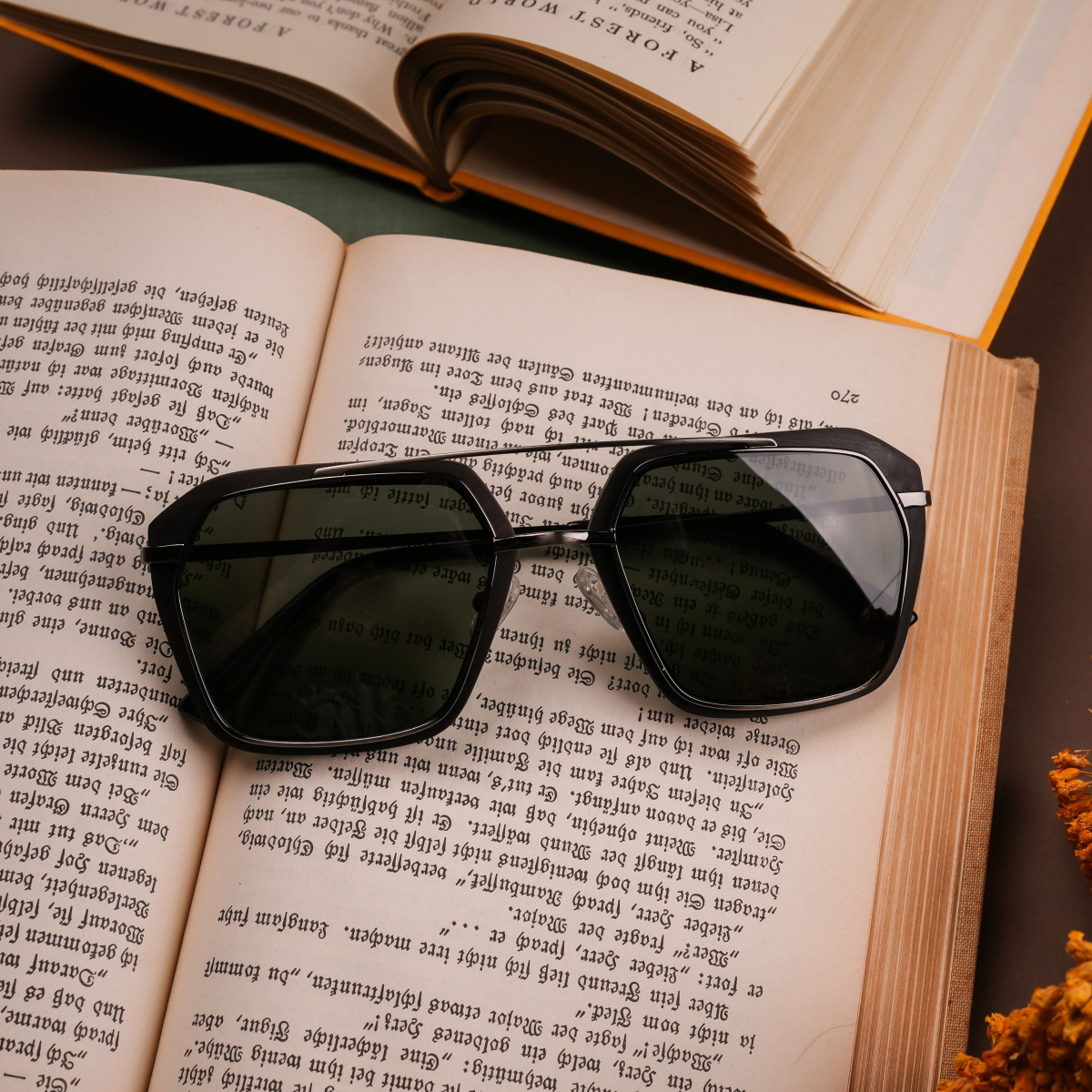 Picture of The Storyteller Sunglasses